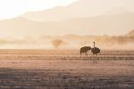  Photo Credit: Photo by Eelco Böhtlingk on Unsplash