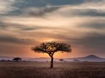  Photo Credit: Photo by Hu Chen on Unsplash