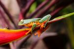  Photo Credit: Photo by David Traña on Unsplash