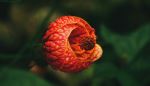  Photo Credit: Photo by Adrián Valverde on Unsplash