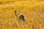  Photo Credit: Photo by Bibhash (Polygon.Cafe) Banerjee on Unsplash