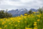  Photo Credit: Photo by Diego Costa on Unsplash