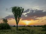  Photo Credit: Photo by Wietse Jongsma on Unsplash