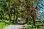  Photo Credit: Photo by muthengi mbuvi on Unsplash