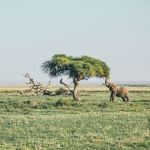 Photo Credit: Photo by Harshil Gudka on Unsplash