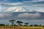  Photo Credit: Photo by Sergey Pesterev on Unsplash