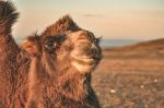  Photo Credit: Photo by Victor He on Unsplash