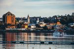  Photo Credit: Photo by David Vilches on Unsplash