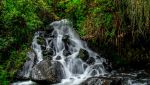  Photo Credit: Photo by Jose Rueda on Unsplash