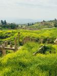  Photo Credit: Photo by Eyad SR7AN on Unsplash