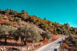  Photo Credit: Photo by Hisham Zayadneh on Unsplash