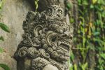  Photo Credit: Photo by Paolo Nicolello on Unsplash