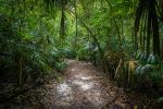  Photo Credit: Photo by Isaac Quesada on Unsplash
