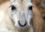  Photo Credit: Photo by David Clode on Unsplash