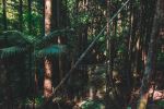  Photo Credit: Photo by Resi Kling on Unsplash