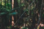  Photo Credit: Photo by Resi Kling on Unsplash