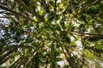  Photo Credit: Photo by peter porter on Unsplash