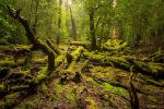  Photo Credit: Photo by Stephen Irwin on Unsplash
