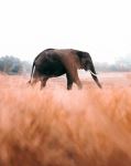  Photo Credit: Photo by redcharlie on Unsplash
