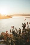 The Heads - Photo Credit: Photo by Wesley Eland on Unsplash