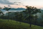  Photo Credit: Photo by Pete Walls on Unsplash