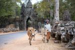  Photo Credit: Photo by Angkor Feel on Unsplash