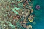 Yanooa Reef - Photo Credit: Photo by GeoNadir on Unsplash