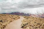  Photo Credit: Photo by Jonas Wurster on Unsplash
