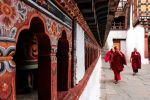  Photo Credit: Unma Desai