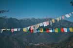  Photo Credit: Photo by Darpan on Unsplash