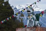  Photo Credit: Photo by Ugyen Tenzin on Unsplash