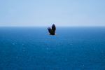  Photo Credit: Photo by Ryan Stone on Unsplash