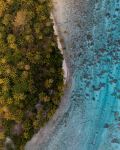  Photo Credit: Photo by Roman on Unsplash