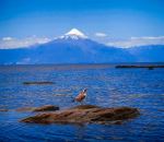  Photo Credit: Photo by Hector Ramon Perez on Unsplash