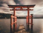 Photo Credit: Photo by Tianshu Liu on Unsplash