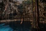 Cenote Oxman Valladolid - Photo Credit: Photo by The Free Birds on Unsplash