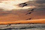 Salt Creek Beach Park - Photo Credit: Photo by CARTER SAUNDERS on Unsplash