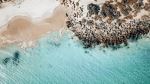  Photo Credit: Photo by Corey Serravite on Unsplash