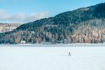  Photo Credit: Photo by Neil Rosenstech on Unsplash