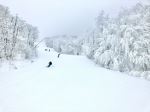 Photo Credit: Mont Tremblant Ski Resort, Mont-Tremblant, Canada Published on March 14, 2020 Apple, iPhone 8 Free to use under the Unsplash License blue canada ski