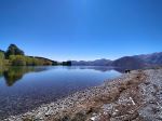 Lake Heron - Photo Credit: Photo by Rachel Powell on Unsplash