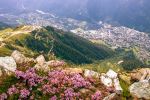  Photo Credit: Photo by Andre Chipurenko on Unsplash