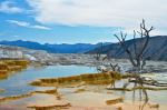 Mammoth Hot Springs - Photo Credit: Photo by Trevor Vannoy on Unsplash