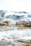Mammoth Hot Springs - Photo Credit: Photo by Brynn Pedrick on Unsplash