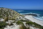 Seal Bay Beach - Photo Credit: Photo by Athithan Vignakaran on Unsplash