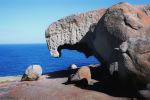 Flinders Chase National Park - Photo Credit: Photo by Athithan Vignakaran on Unsplash