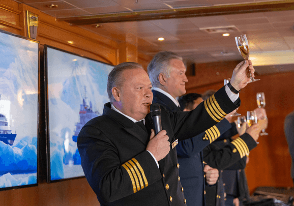 Realm of Penguins & Icebergs