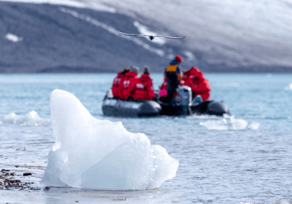 In-Depth Exploration in the Land of the Polar Bear