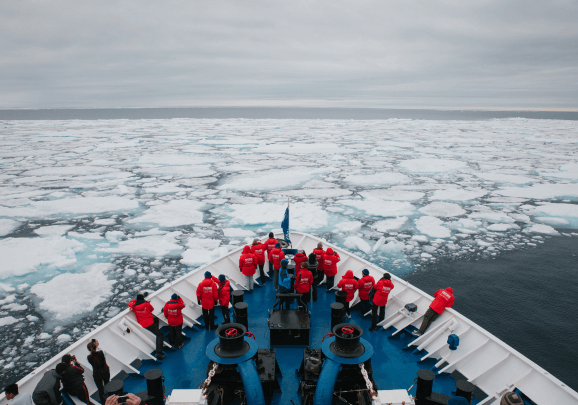 In-Depth Exploration in the Land of the Polar Bear