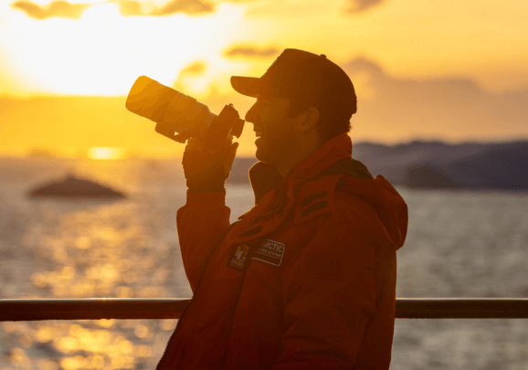 Best of the Southern Ocean